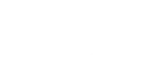 capital-one