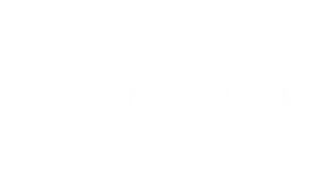 startup-wise